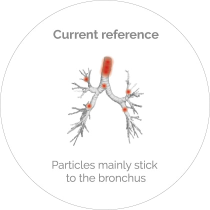 Current reference - Particles mainly stick to the bronchus